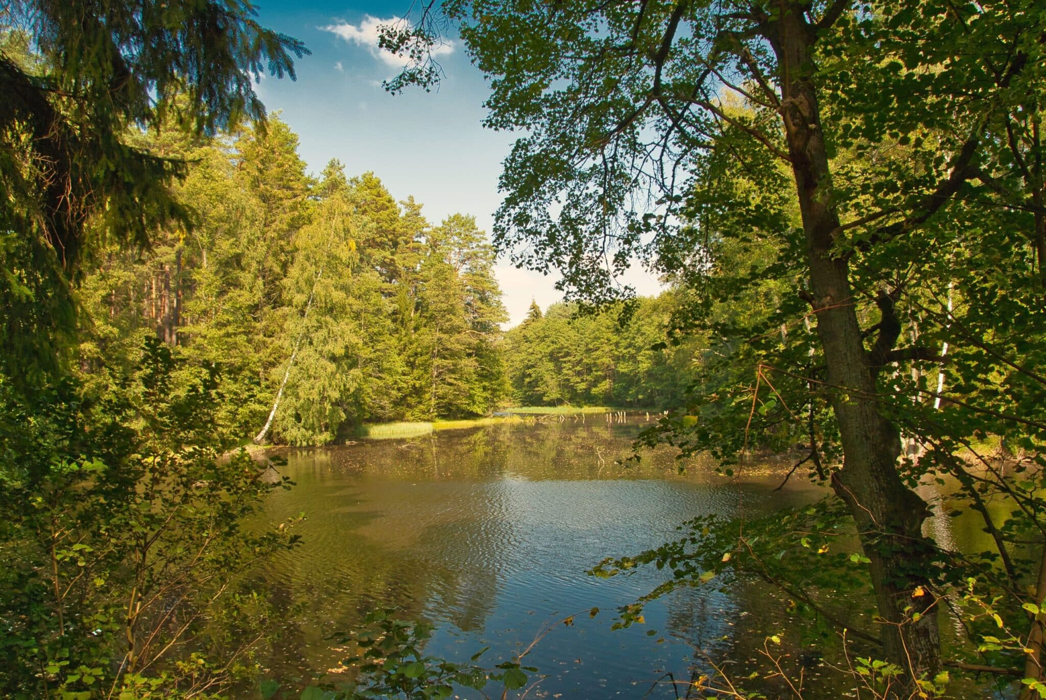 Les parcs naturels, trésors de biodiversité
