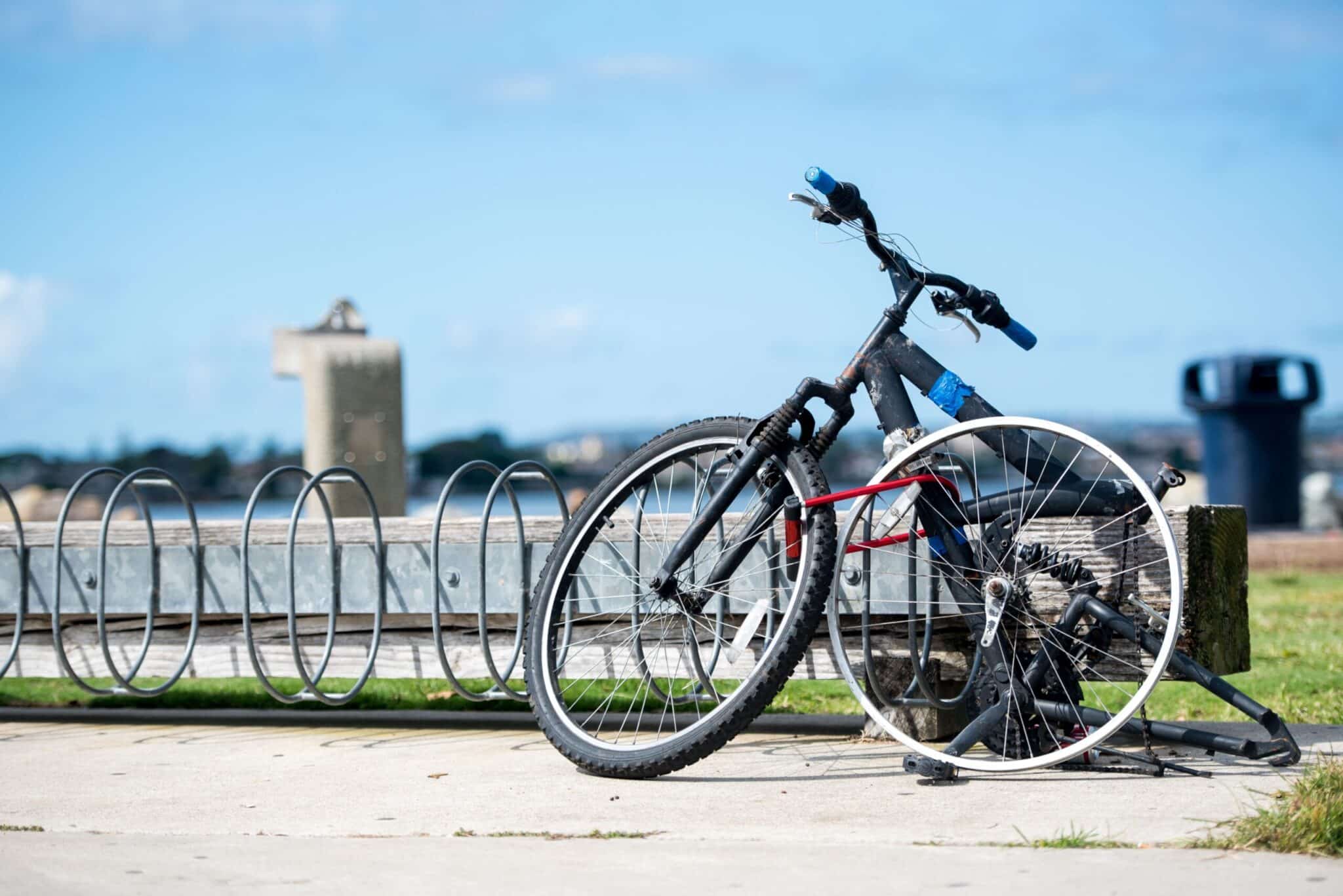 Pédaler ensemble : la beauté d’un voyage à vélo en groupe