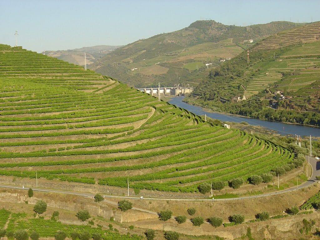 Vignobles en terrasses de la vallée du Douro