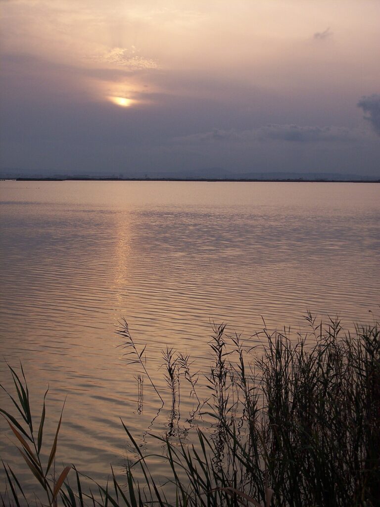 Barques sur la lagune du parc naturel de l'Albufera